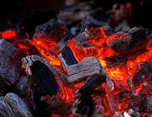 Image result for Coal Combustion