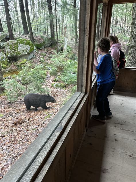 Squam Lakes Natural Science Center - NH Business Review