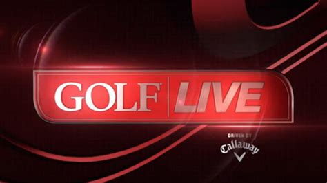 Live View Golf 的图像结果