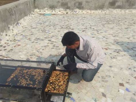 Products | Rudra Solar Energy : Grab the Sun Power, India