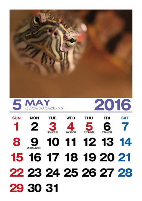 2016 年 5 月 カレンダー