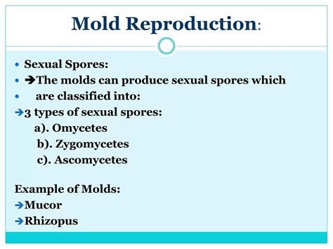 Mold | PPTX