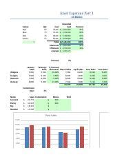 Image result for Excel Capstone Collection