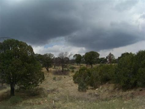 Timberon Tourism (2024): All You Need to Know Before You Go