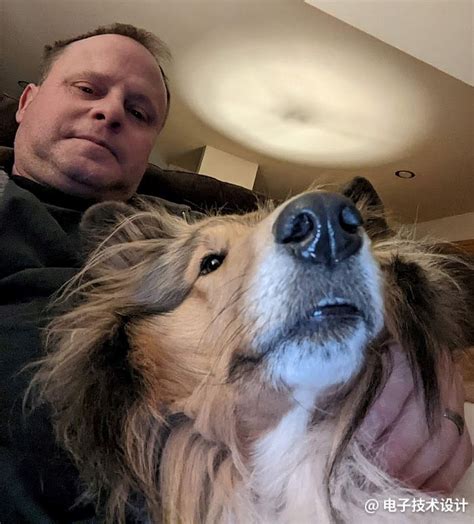 拆解平淡无奇的狗吠控制器-EDN 电子技术设计