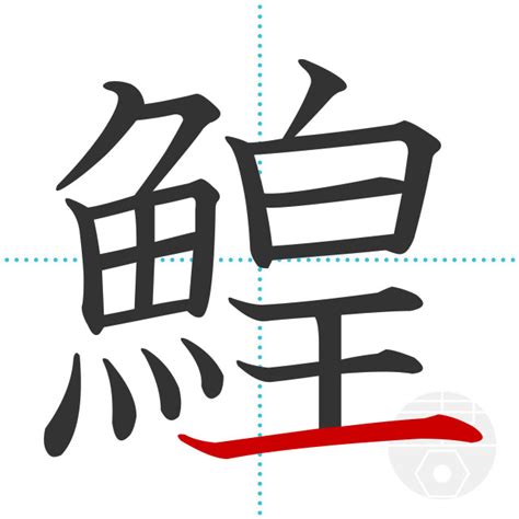 「鰉」の書き順(画数)｜正しい漢字の書き方【かくなび】