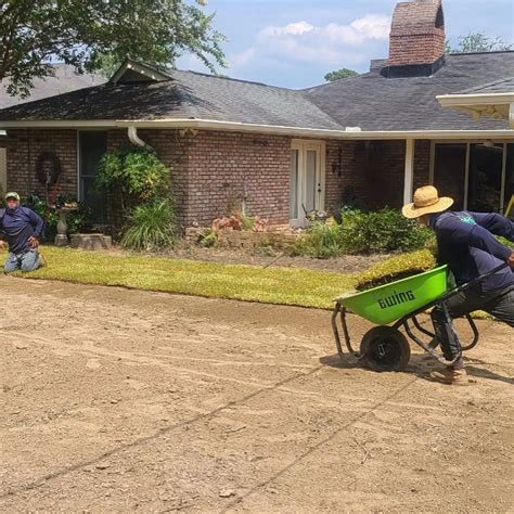 Organic vs Chemical Lawn Care Long Term Comparison