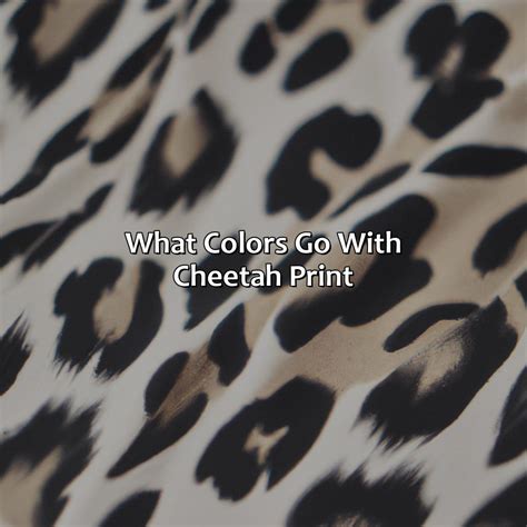 What Goes With Cheetah Print Pants at Harry Brawner blog