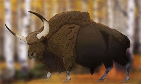 Bison Latifrons