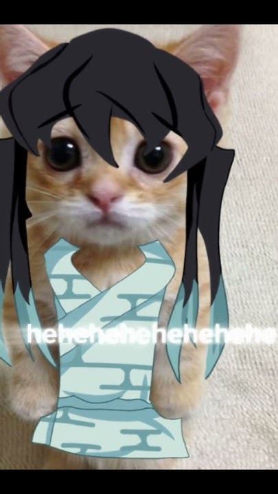 Image result for Kenyed Fun Java