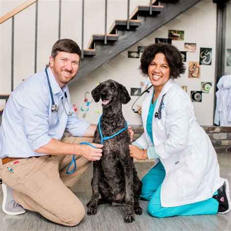 2022 Virtual Midwest Veterinary Conference // Hosted by the Ohio ...