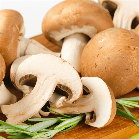 15 Mushrooms and How to Use Them in Vegan Cooking | VegNews
