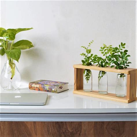 Wall Hanging Glass Planter Plant Terrarium Modern Flower Bud Vase in ...