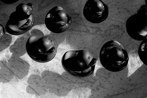 OpenCV Python Split 的图像结果