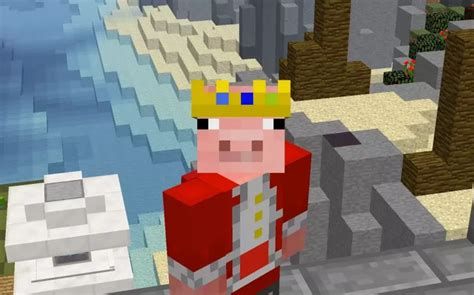 Popular Minecraft YouTuber Technoblade Passes Away After Cancer Battle