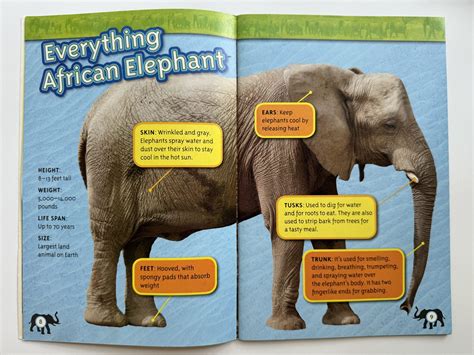 What Are Text Features? Examples and How To Teach Them