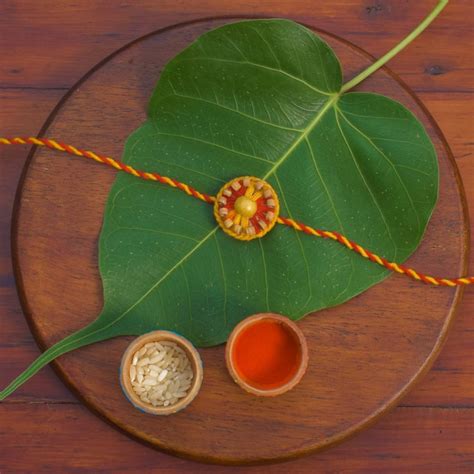Buy Togetherness Plantable Seed Rakhi Box | Pair of 2 Seed Rakhi Online ...