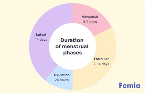 after menarch how many days will the next period come