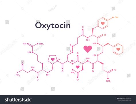 Oxytocin Structure