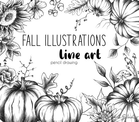 Fall Line Drawing