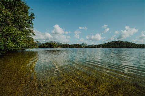 Lake water Images - Free Download on Freepik