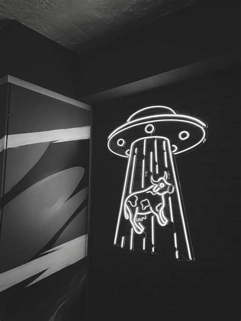 Alien Encounters 的图像结果