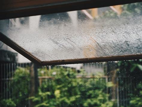 How to remove monsoon dampness from home