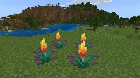 All The Types Of Flowers In Minecraft at Doreen Woods blog
