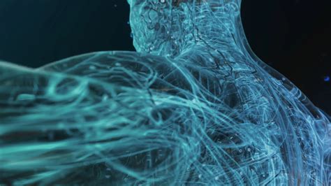 Image result for Lymphatic System Flow