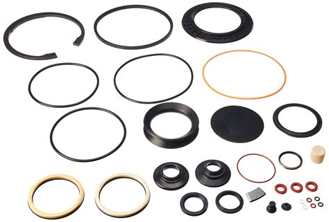 R. H. Sheppard 5545491 Combined Seal Kit with Snap Ring/L-seal (5544861 ...