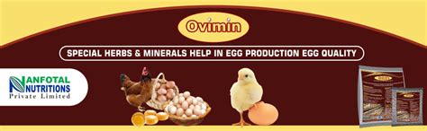 Buy Anfotal Nutrition Organic Egg Production Enhancer for Poultry Feed ...