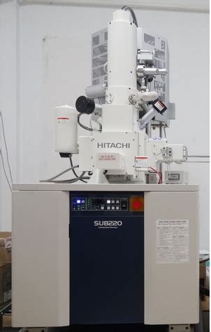 扫描电镜(SEM)实验服务, 武汉云克隆动物有限公司