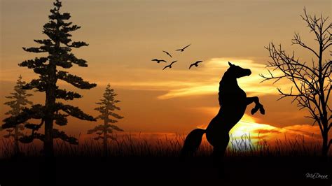 Cool Horse Backgrounds Hd
