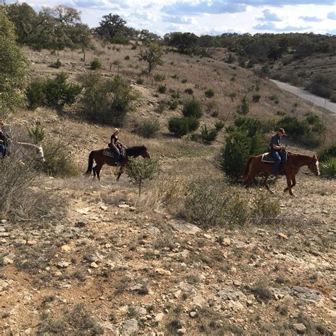 JUNIPER HILL STABLES (2025) All You Need to Know BEFORE You Go (with ...