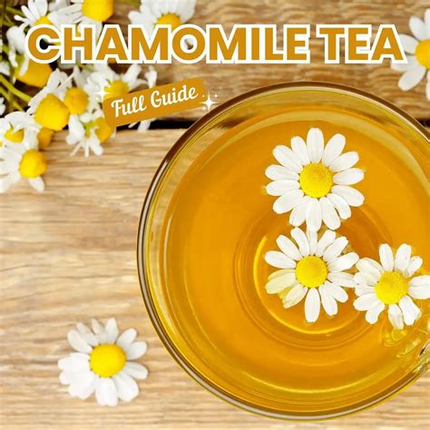 Chamomile Tea For Breastfeeding Moms- Complete Guide