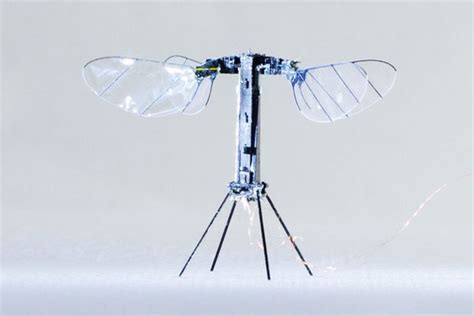 The RoboBee—Harvard's insect-inspired microrobot with high efficiency ...