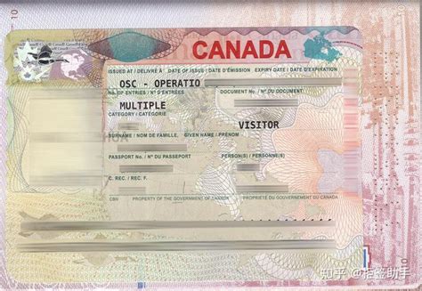 线上用美国签证申请加拿大签证时，如何打开申请表IMM5257 - 知乎