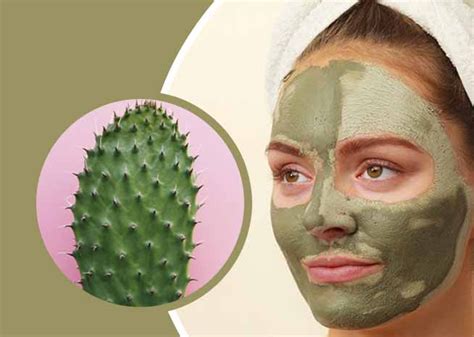 How Cactus Extract Can Hydrate and Nourish Your Skin - AskMeAll