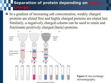 Image result for Protein Separation Process