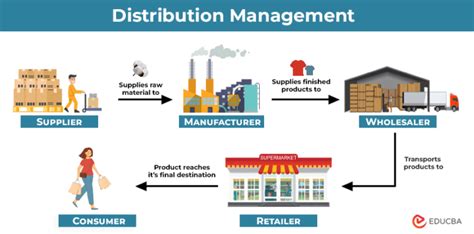 Distribution Management Concept Map 的图像结果