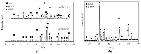 DLP Fabrication of Zirconia Scaffolds Coated with HA/β-TCP Layer: Role ...