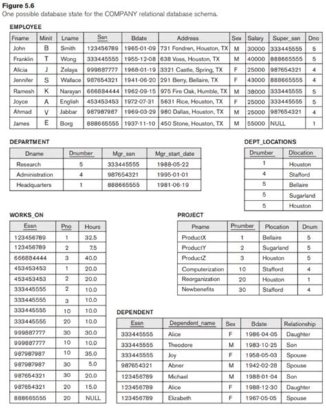 Image result for Database Questions On Forms Query and Report