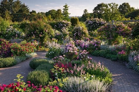 RHS GARDEN ROSEMOOR (2026) All You Need to Know BEFORE You Go (with ...