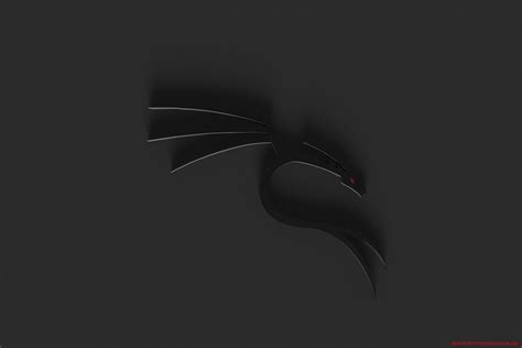 mid-air, studio shot, single object, nature, Kali Linux, Kali Linux NetHunter, dragon, decor ...