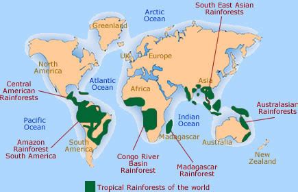 Global Location Of Tropical Rainforest - What Is a Tropical Rainforest ...