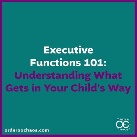Image result for Executive Functions 101