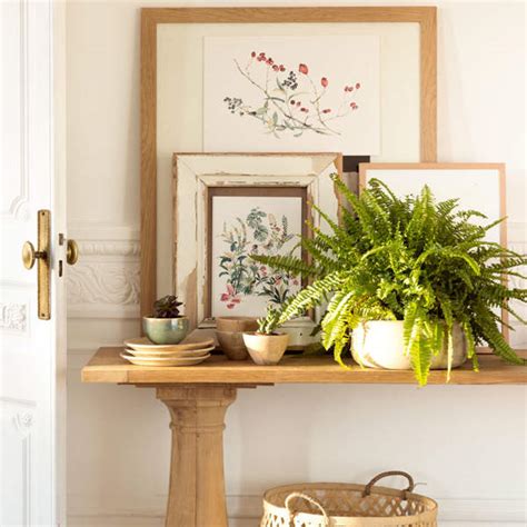 Orégano: propiedades, beneficios, usos y contraindicaciones