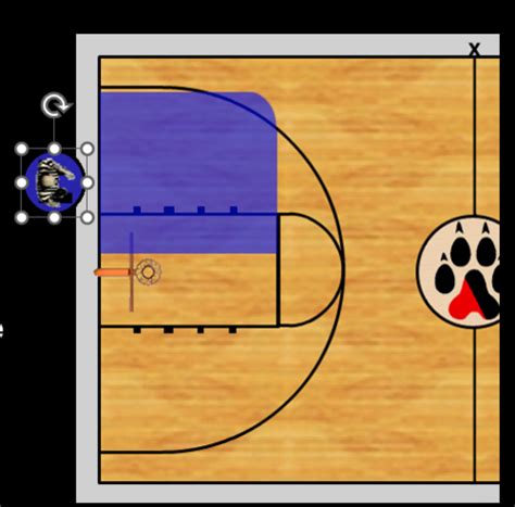 Basketball Flashcard 的图像结果