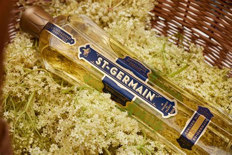 Elderflower Harvest - St-Germain Liqueur US/EN