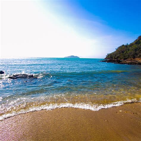 PRAIA DA TARTARUGA - All You Need to Know BEFORE You Go (with Photos ...